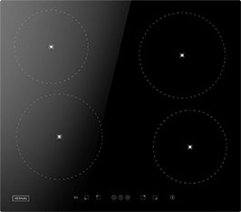 Induktionsfeld Reparatur Hoyerswerda